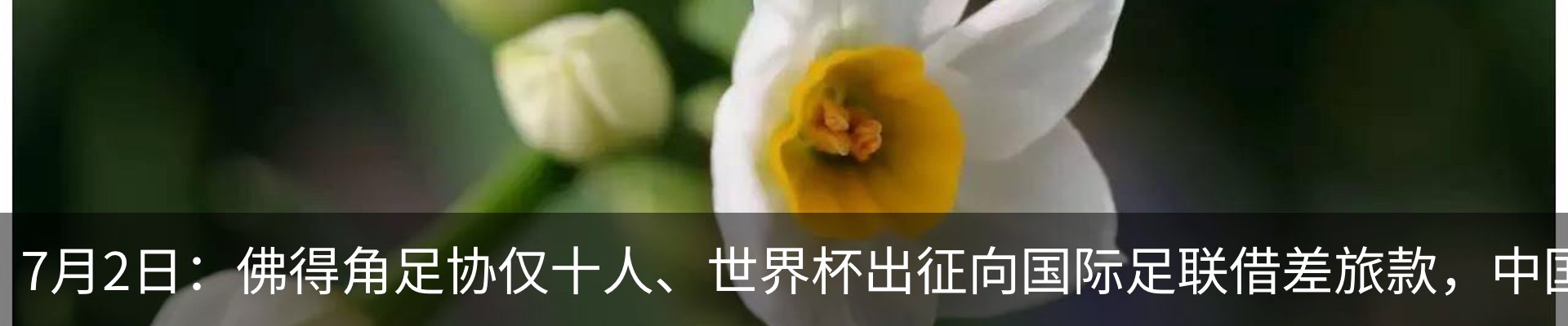 资讯中心
